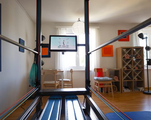 Physioprax-Sensopro-training (2)